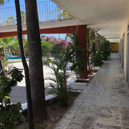 Hotel Calafia La Paz Dış mekan fotoğraf