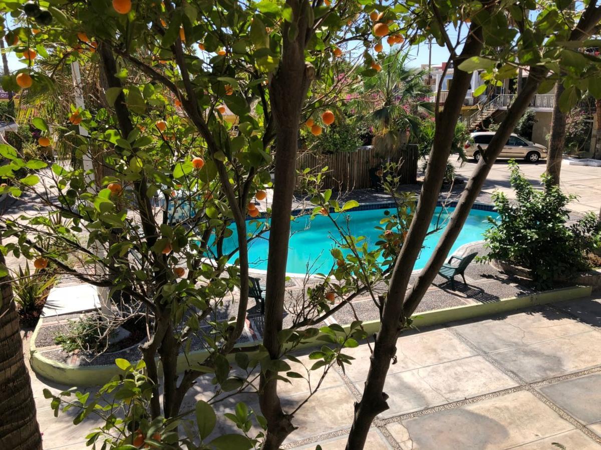 Hotel Calafia La Paz Dış mekan fotoğraf