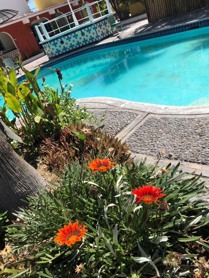 Hotel Calafia La Paz Dış mekan fotoğraf
