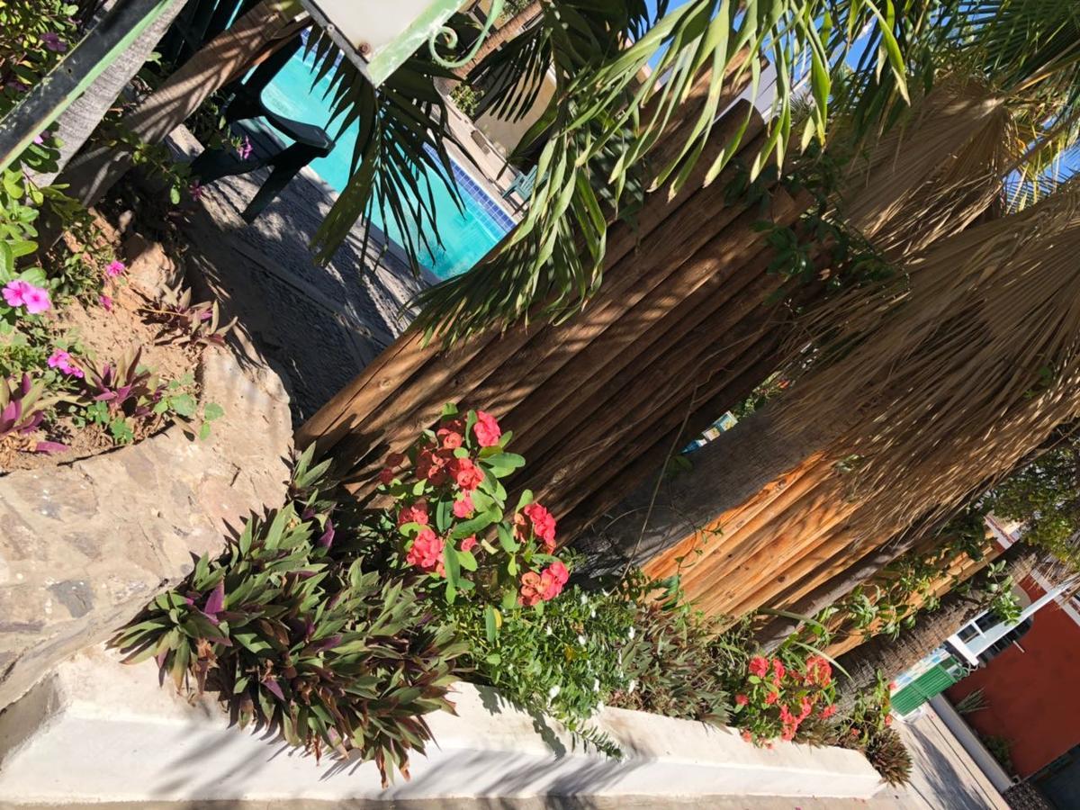 Hotel Calafia La Paz Dış mekan fotoğraf